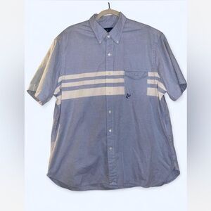 Ralph Lauren Blue and White Striped Casual Shirt